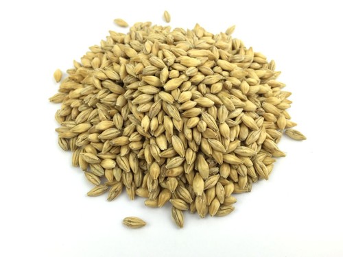 Karamelmalz pils ungeschrotet - karamelmalz,