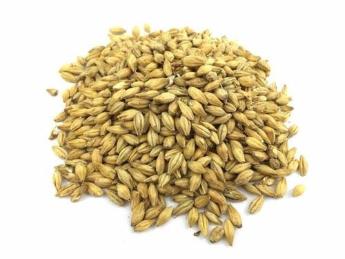5kg whisky malz ungeschrotet - 5kg,